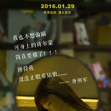 我的“狐朋狗友”