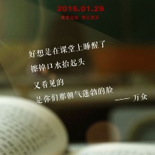 我的“狐朋狗友”