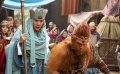 14期：一大波美猴王来袭 “舌尖”曝奇绝美食片段