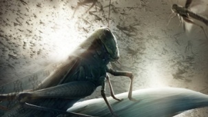 《三体》“虫子”版海报亮相 冯绍峰默然仰望天空