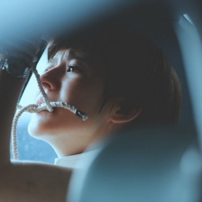 真相禁區(qū)
