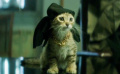《拯救猫咪》中文预告 中二青年深入黑道救萌猫