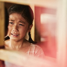 想念哥哥