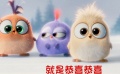 《憤怒的小鳥》賀年短片 鳥寶寶合唱“恭喜恭喜”