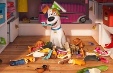 《爱宠大机密》超级碗宣传片 人前人后萌宠大变脸