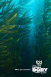 《海底總動(dòng)員2》曝光新海報(bào) 多莉玩起捉迷藏