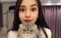 Angelababy领衔明星猫奴 再大牌終究只是铲屎官