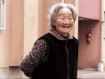 樱花树下