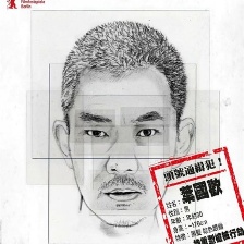 樹大招風(fēng)