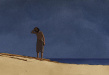 红海龟