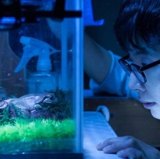 深宅家中兒子的戀愛