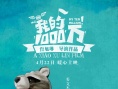 我的1000万