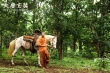 《大唐玄奘》片尾曲MV曝光 王菲版《心經(jīng)》致敬