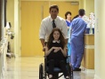 The Hollars