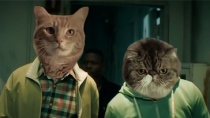 《基努猫》恶搞版中文预告 人脸换猫脸搞笑升级