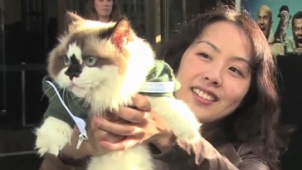网络名猫助阵《基努猫》全球首映式 里维斯献声