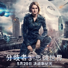 分歧者3：忠誠世界