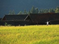 山那边有匹马