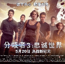 分歧者3：忠誠世界