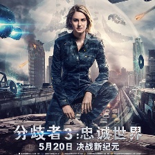 分歧者3：忠誠世界