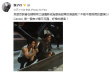 甄子丹拍戏健身两不误 称或将成“重磅吊车尾”