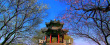 夢幻家園