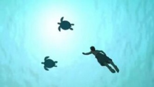 《红海龟》预告片 男人欲离开荒岛被红海龟破坏