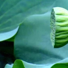 夢(mèng)幻家園
