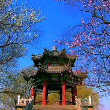 夢(mèng)幻家園