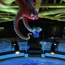 海底總動員2：多莉去哪兒