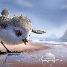 海底總動員2：多莉去哪兒