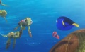 《海底总动员2》中文片段 回应前作“海龟迁徙”
