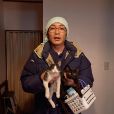 為什么貓都叫不來
