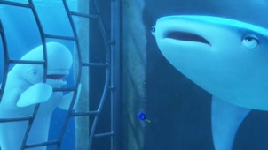 《海底总动员2》中文片段 白鲸与邻居喋喋不休