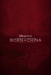 我们诞生在中国