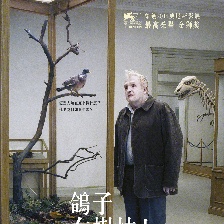 寒枝雀靜