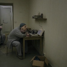 寒枝雀靜