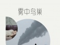 雾中鸟巢
