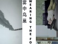 雾中鸟巢