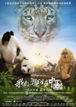 《我们诞生在中国》终极预告 陆川执导周迅配音