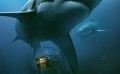《深海逃生》曝光片段 美女作死鐵籠入水看鯊魚