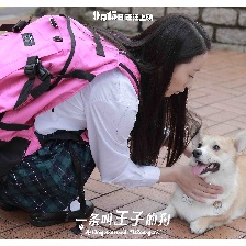 一條叫王子的狗