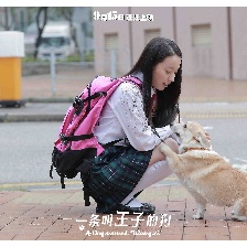 一條叫王子的狗