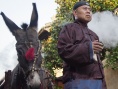 毛驴县令2之非我莫属