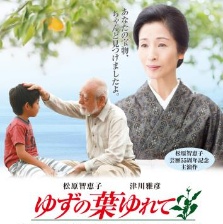 晃動的柚子葉