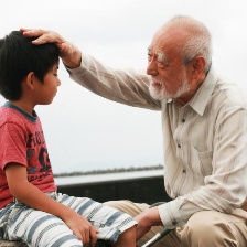 晃動的柚子葉