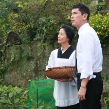 晃動的柚子葉