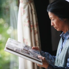 晃動的柚子葉