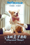《一条叫王子的狗》曝海报 柯基曲折身世大揭秘