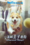 一條叫王子的狗